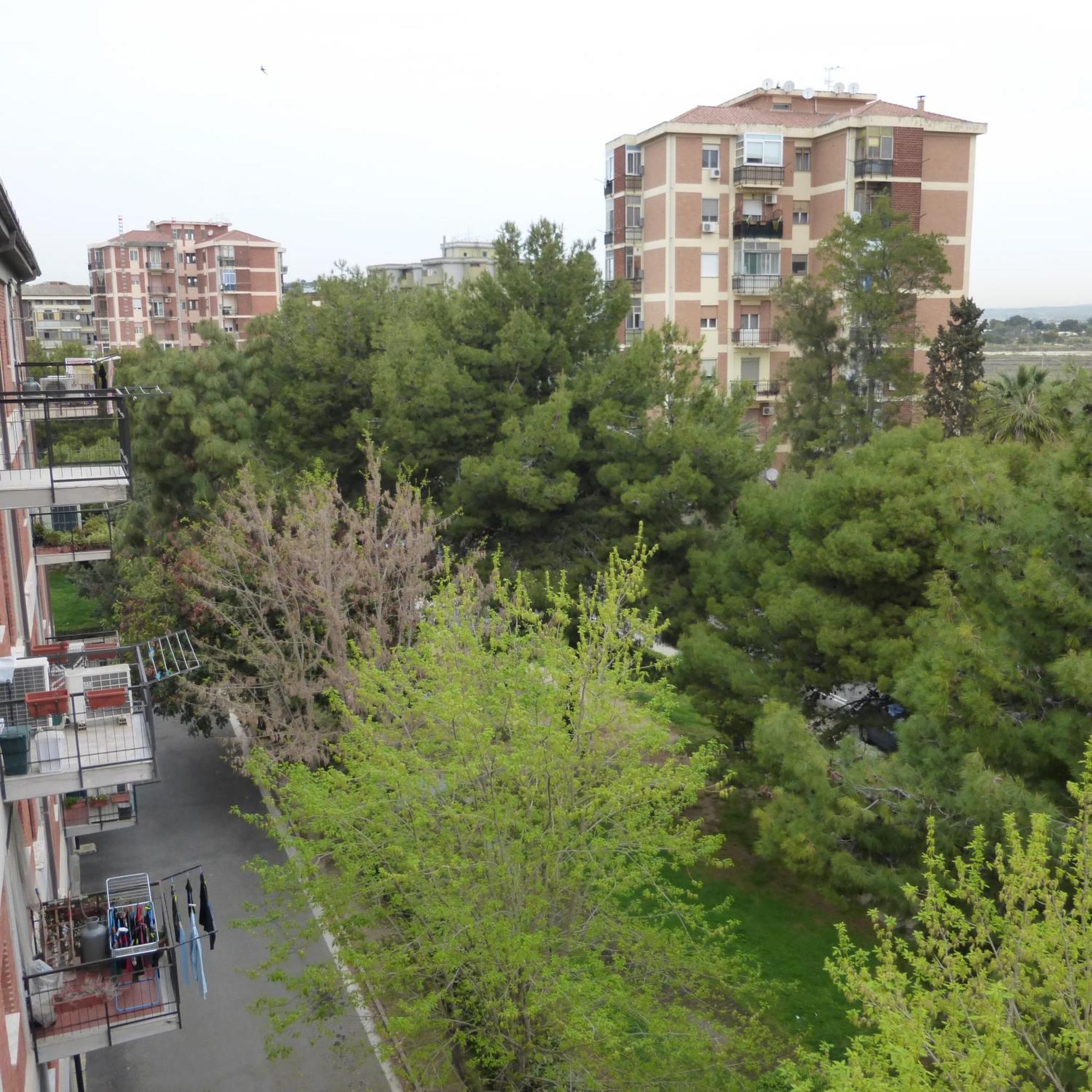 Chelu & Luna Cagliari Dış mekan fotoğraf